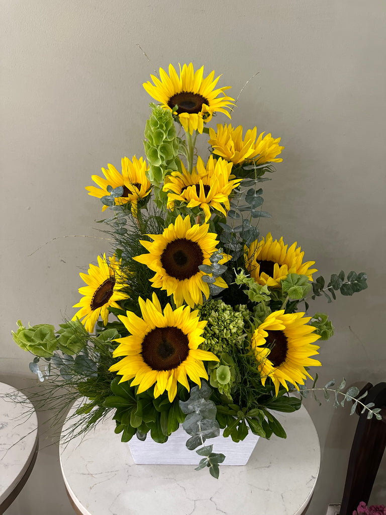 Girasoles para ti