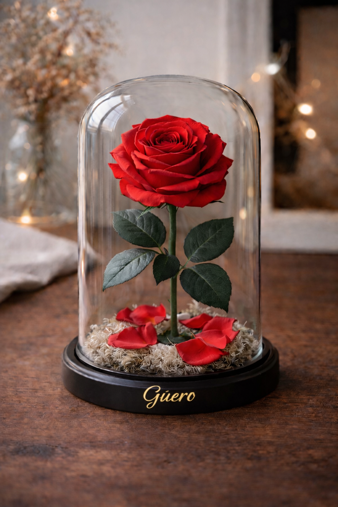 Rosa eterna roja en capelo