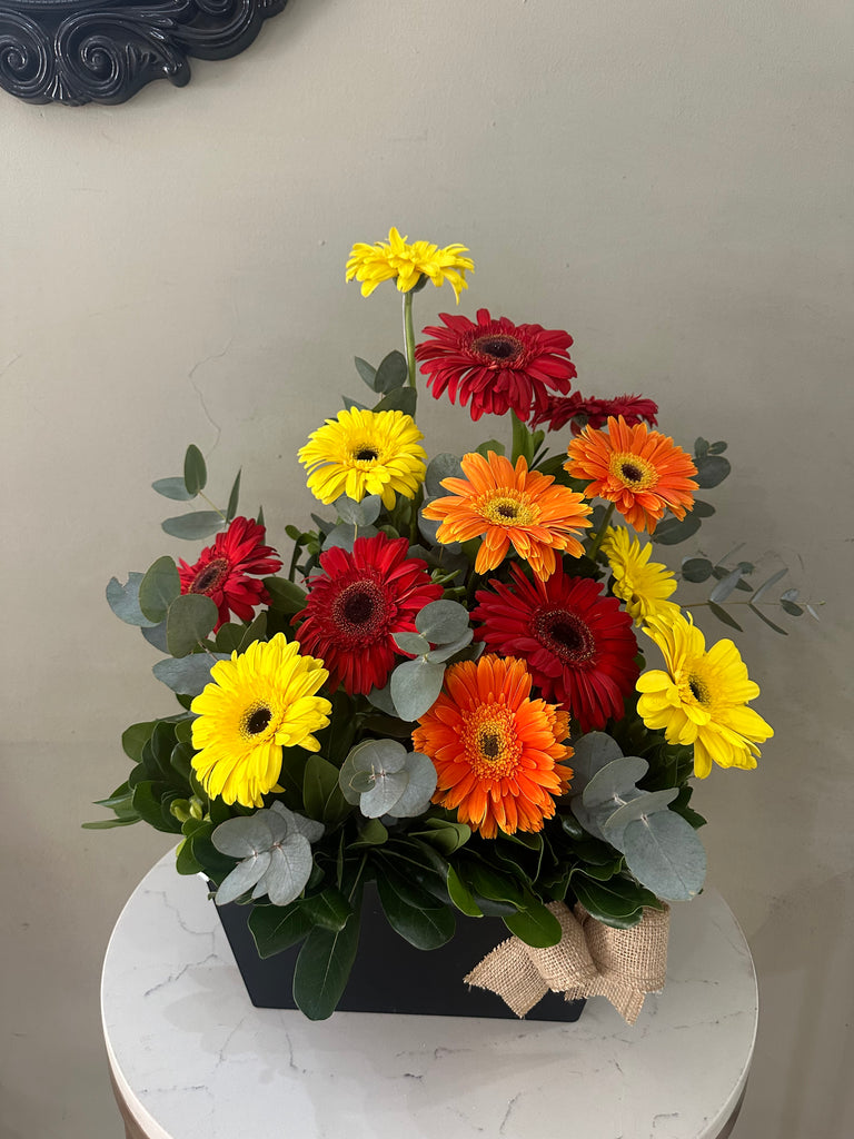 Día de gerberas